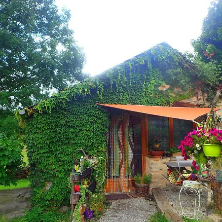 Mas De La Boheme - L'Hermet Bed & Breakfast Saint-Leons ภายนอก รูปภาพ